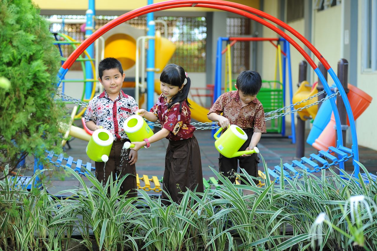 Kids using watering cans to care for plants at an outdoor school playground.