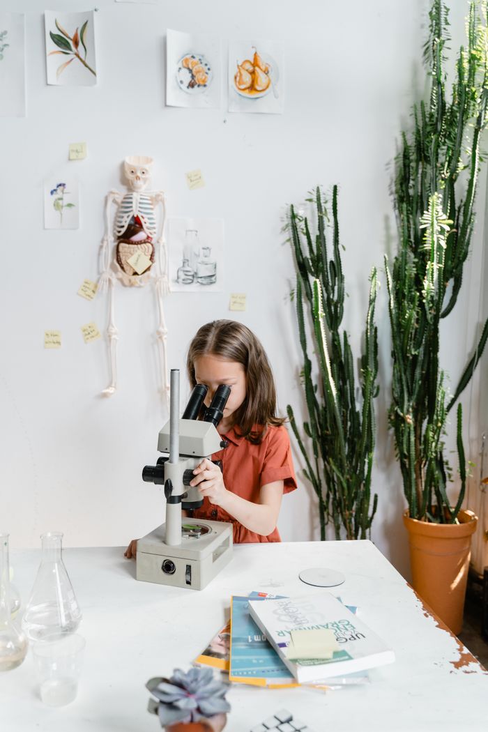A young girl intently studies through a microscope in a science classroom, surrounded by educational materials.